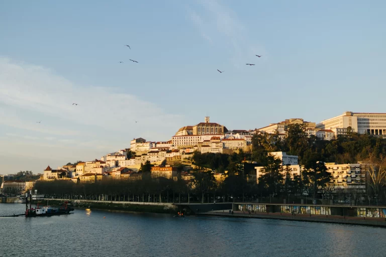 Coimbra_PURUS